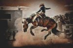 (image for) The Bronc